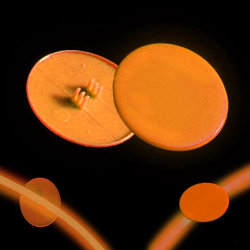 CLIP ON MEDALLION FOR GLOW NECKLACE AND BRACELET - ORANGE - PACK OF 50