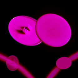 CLIP ON MEDALLION FOR GLOW NECKLACE AND BRACELET - PINK - PACK OF 50