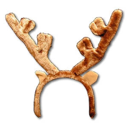 REINDEER ANTLERS