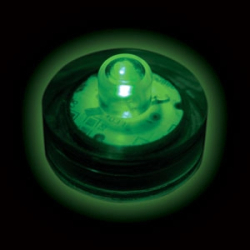 FLORALYTE  SUBMERSIBLE - VERT - PAQUET DE 10 - 2 BATTERIES CR2032 INCLUSES & REMPLAÇABLES