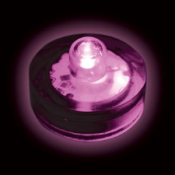 FLORALYTE  SUBMERSIBLE - MAUVE - PAQUET DE 10 - 2 BATTERIES CR2032 INCLUSES & REMPLAÇABLES