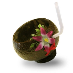 COCONUT CUP 10 OZ.